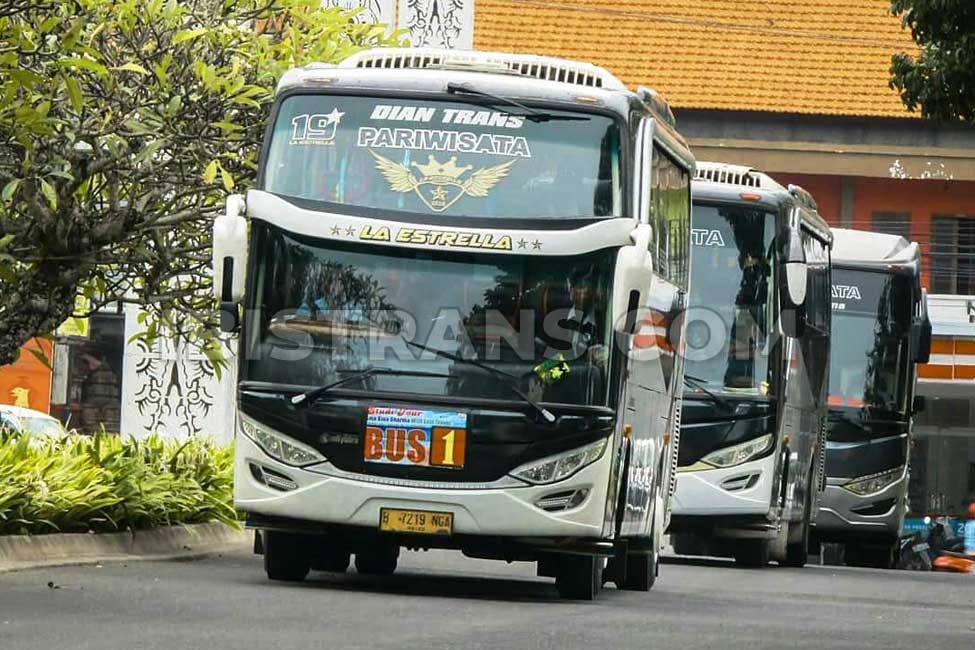 ibistrans.com bus pariwisata jakarta PO Dian Trans