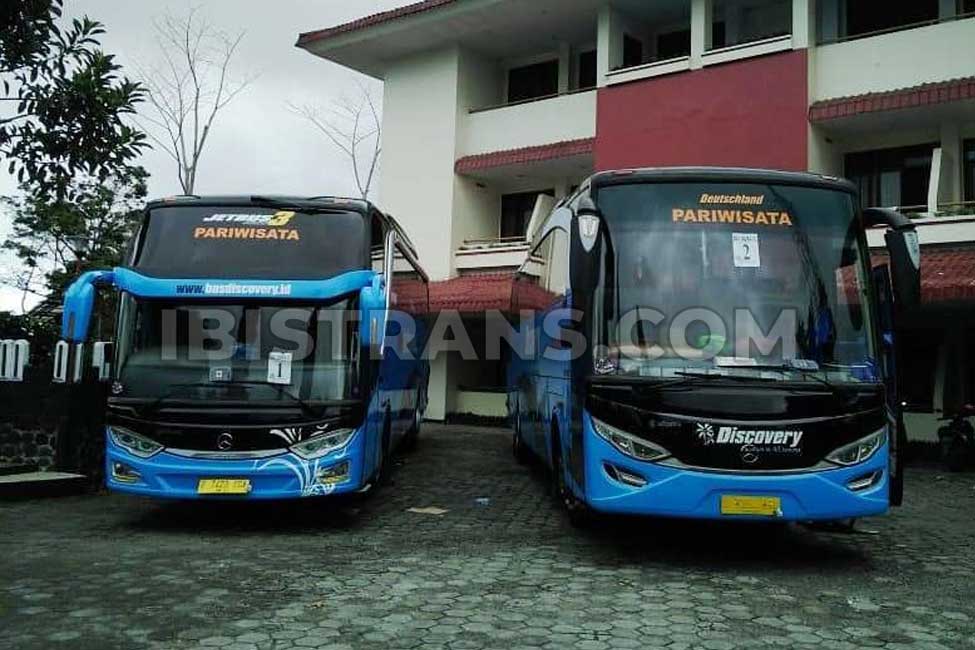 ibistrans.com sewa bus pariwisata discovery HDD