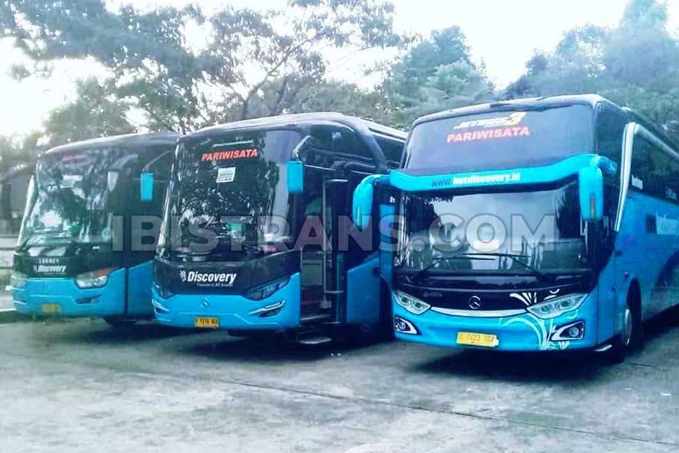ibistrans.com sewa bus pariwisata discovery