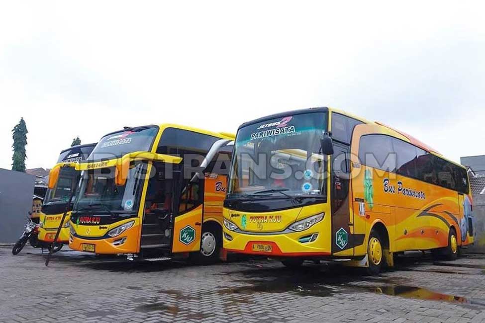 ibistrans.com foto bus pariwisata Tangerang Putra KJU