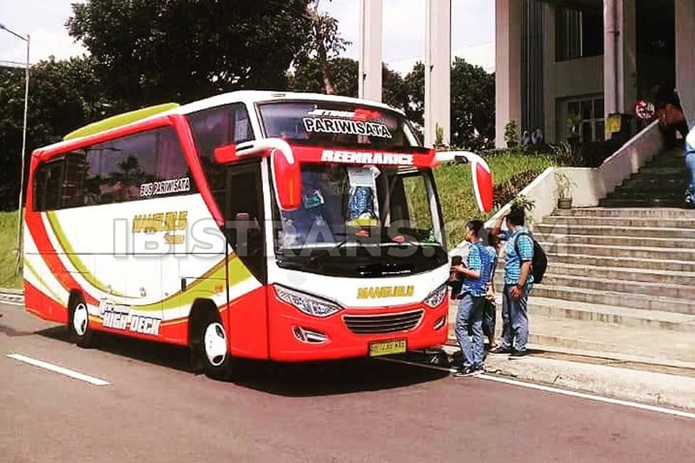 ibistrans.com bus pariwisata jakarta Mangurus Trans