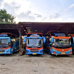 bus pariwisata toilet didalam - 6